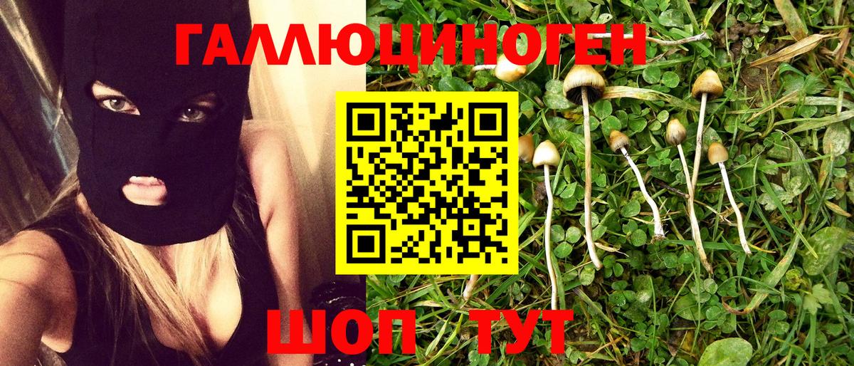 Галлюциногенные грибы Psilocybe  Вход с VPN  Кувандык 
